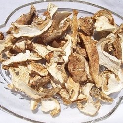 Dried Matsutake Mushrooms Wild USA | UK