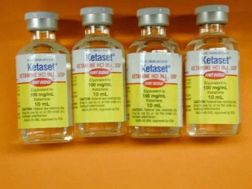 Ketaset Ketamine 100 mg/10 ml