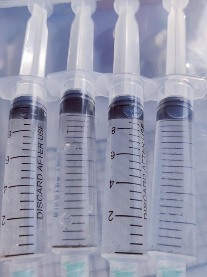 Magic Mushroom Spore syringe – Pensacola psilocybe cubensis