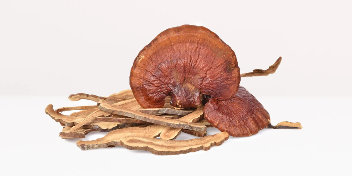 Dried Reishi Mushrooms