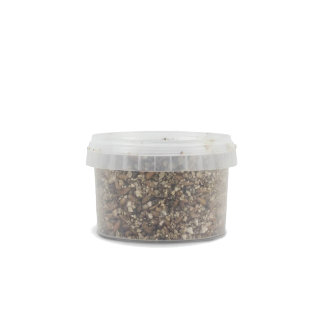 Sterile Magic Mushroom substrate for p. Cubensis Small
