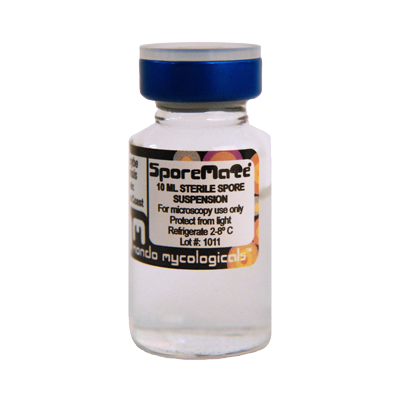 Treasure Coast Psilocybe cubensis spores
